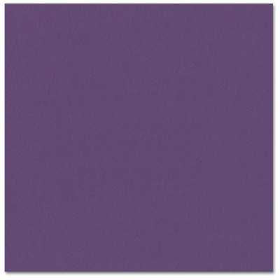 Bazzill classic purple- violet classique 12x12